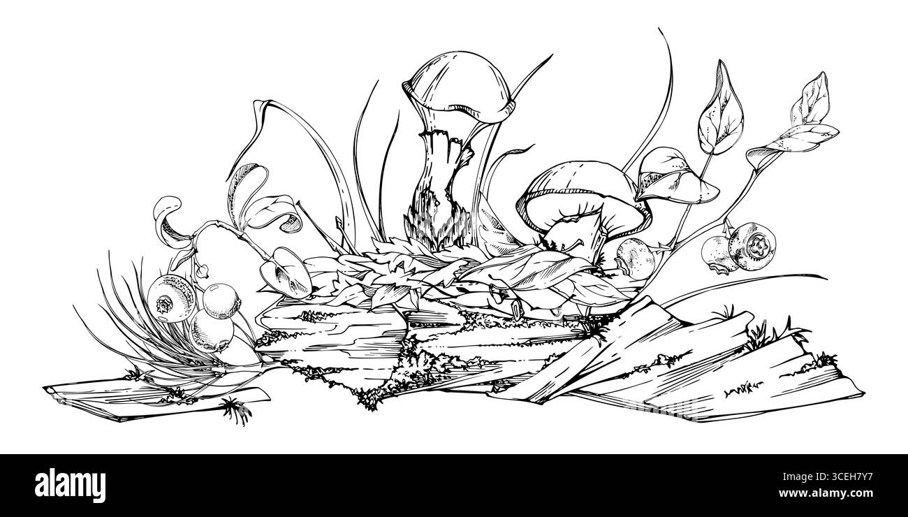 Suillus Lärchenbolete rutschiger Jack Pilz, brombeere auf Rinde mit Moosflechten wuchs, gefallene Herbstblätter Zweige Nadeln. Hand Stock Vektor