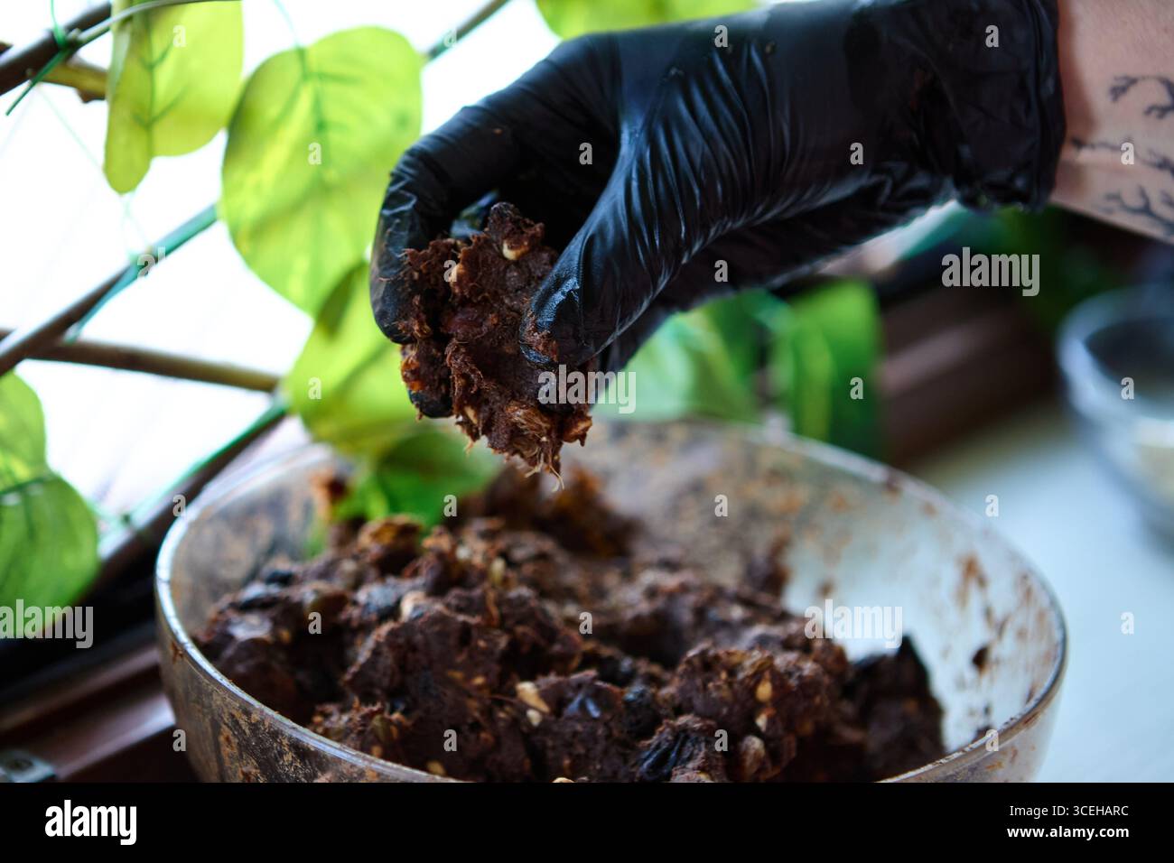 Dunkle Keramikschale mit reichhaltiger Mischung aus gehackten Datteln, Rosinen und Nüssen für rohe vegane Desserts Stockfoto