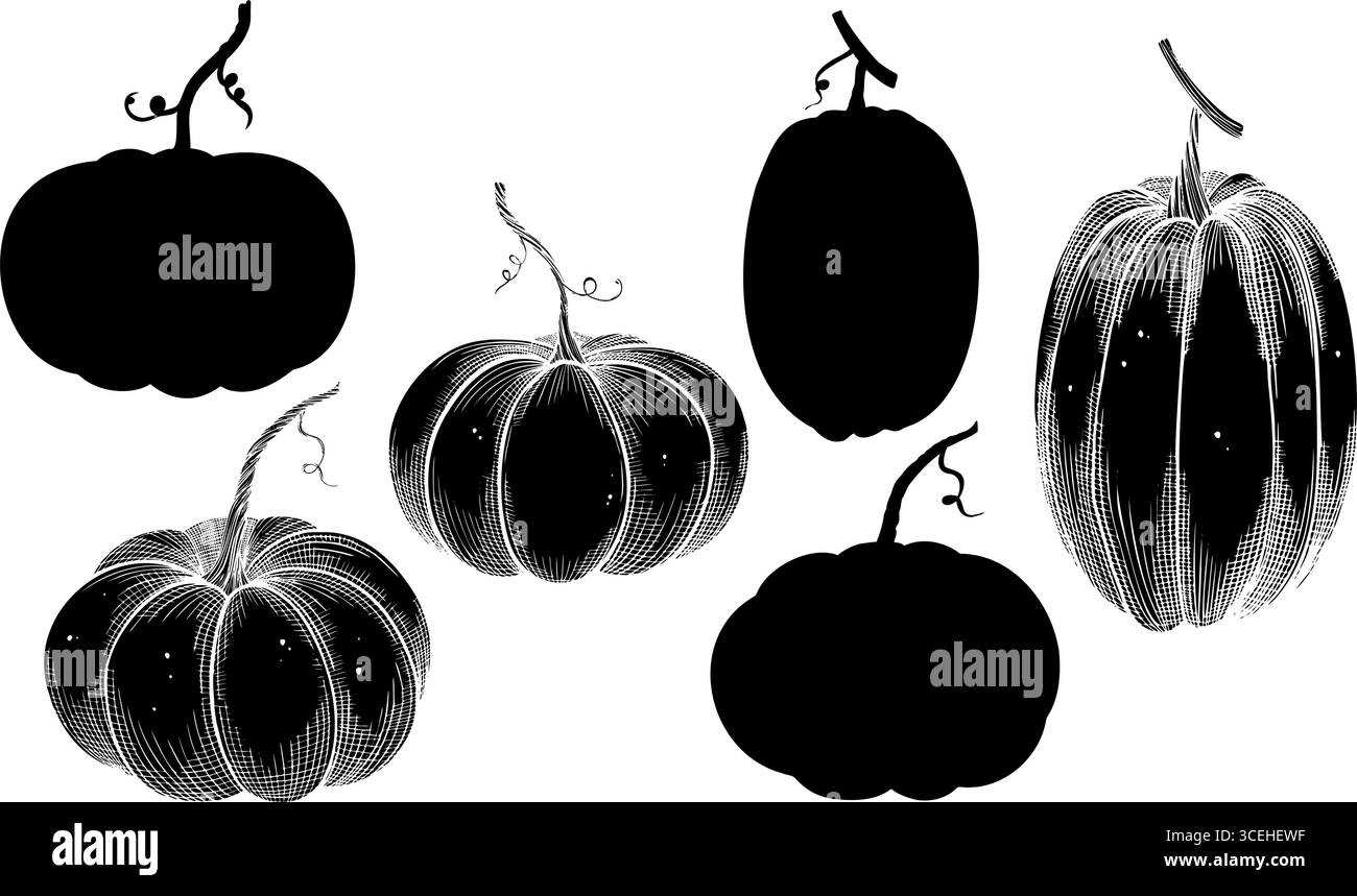 Kürbisvektorillustration. Lineare Zeichnung mit Kürbissen, die mit schwarzer Tinte gemalt sind. Ätzen und Silhouette von Herbstgemüse für Erntefeste, Thanksgiving-Einladungen oder Grußkarten. Stock Vektor