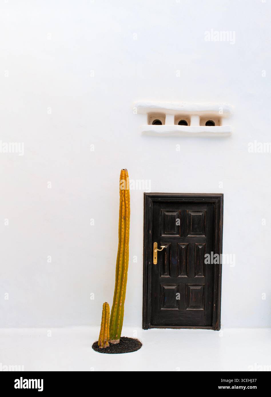 Lanzarote: Kakteen und weißes Gebäude der Fundacion Cesar Manrique (Cesar Manrique Foundation), dem unverwechselbaren Wohnhaus des Künstlers in Tahiche Stockfoto