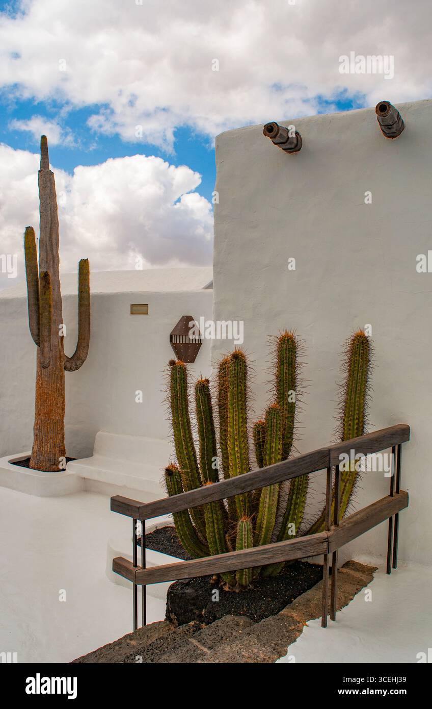 Lanzarote: Kakteen und weißes Gebäude der Fundacion Cesar Manrique (Cesar Manrique Foundation), dem unverwechselbaren Wohnhaus des Künstlers in Tahiche Stockfoto