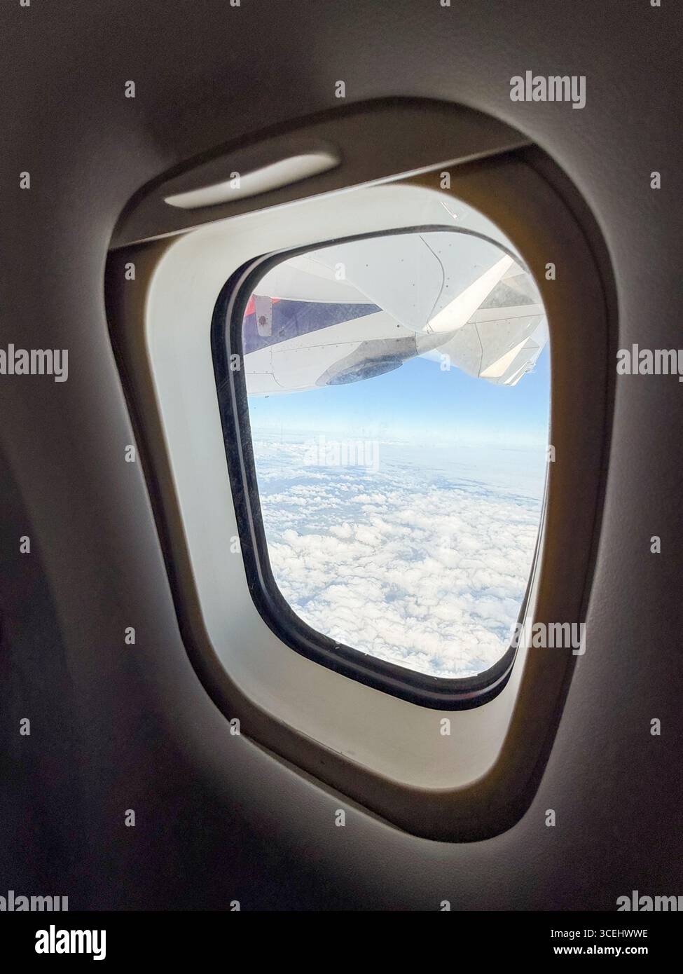Ansicht vom Flugzeugfenster über grüne Felder unten. Luftfahrt, Flugerlebnis und Verbindung zwischen Himmel und Erde während der Reise. Stockfoto