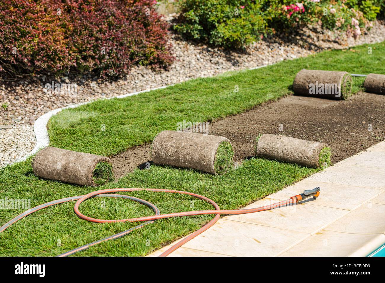 Die Arbeiter legen frische Grasrollen in einem Garten ab und verwenden Schläuche für die Bewässerung, während das Sonnenlicht hell auf die farbenfrohe Landschaft scheint. Stockfoto