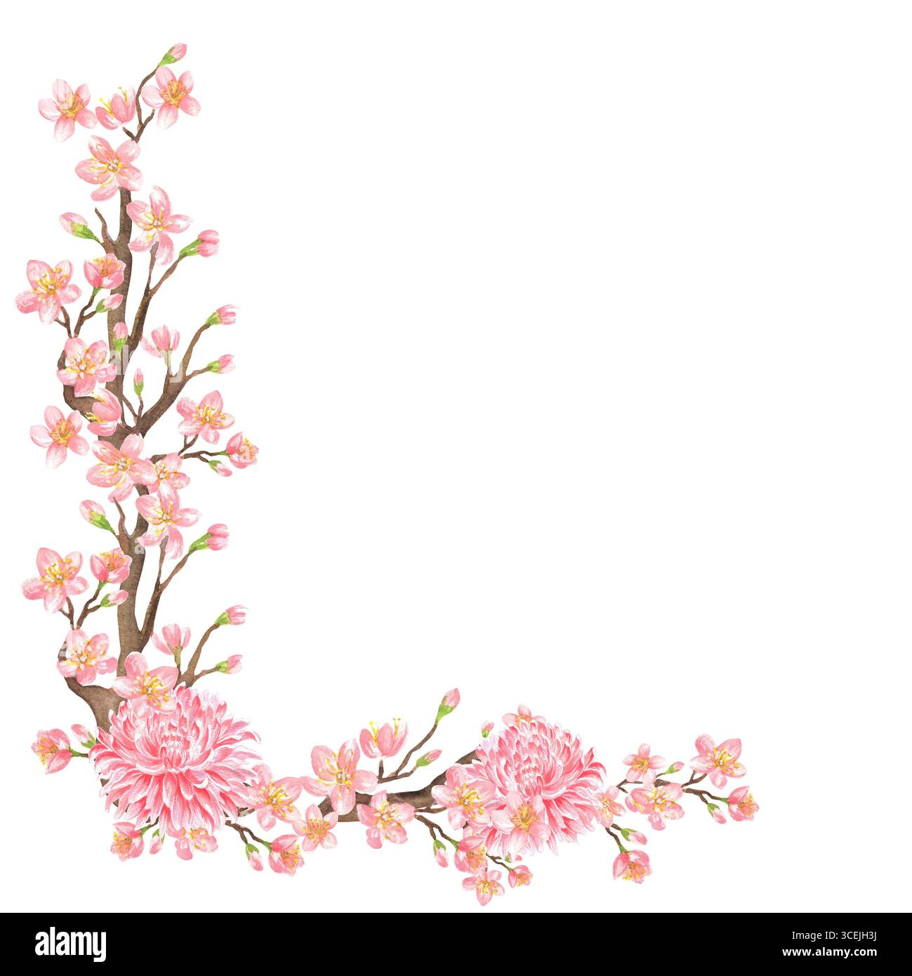 Linke untere Ecke der Sakura-Kirschbaumzweige und rosafarbenen Chrysanthemen-Köpfe. Pinkfarbene Blumendekoration. Chinesisches Neujahr. Clipart mit Blumenmuster Stockfoto