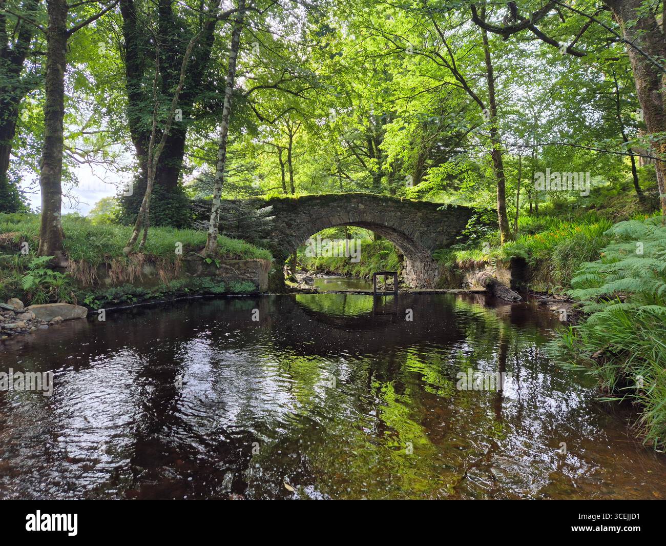 Torrisdale Castle Estate Stockfoto