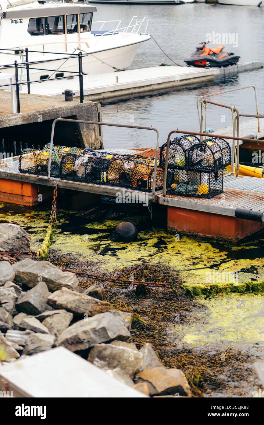 Fischfallen sind auf einem schwimmenden Metalldock neben einer mit Algen bedeckten Küste in einem norwegischen Hafen gestapelt. Die Szene umfasst Boote, Marine Ausrüstung, A Stockfoto