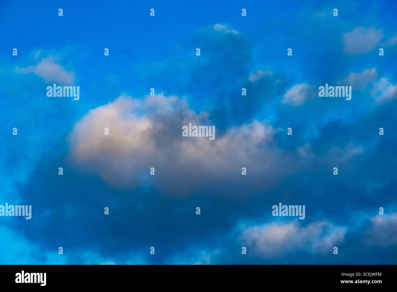 Einzelne flauschige Wolke, die mit sanftem Licht vor einem leuchtend blauen Himmel leuchtet Stockfoto