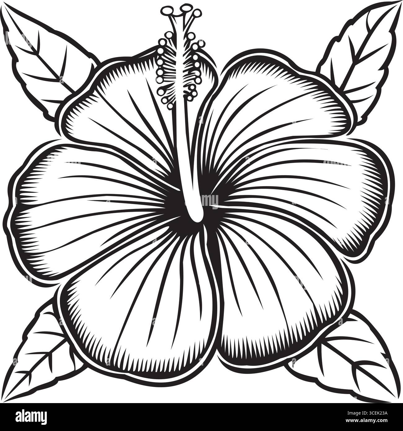 Eine detaillierte schwarz-weiße Linienzeichnung einer Hibiskusblüte, die fünf große, strukturierte Blütenblätter mit feinen Schattierungen und Konturlinien zeigt. Im Zentrum Stock Vektor