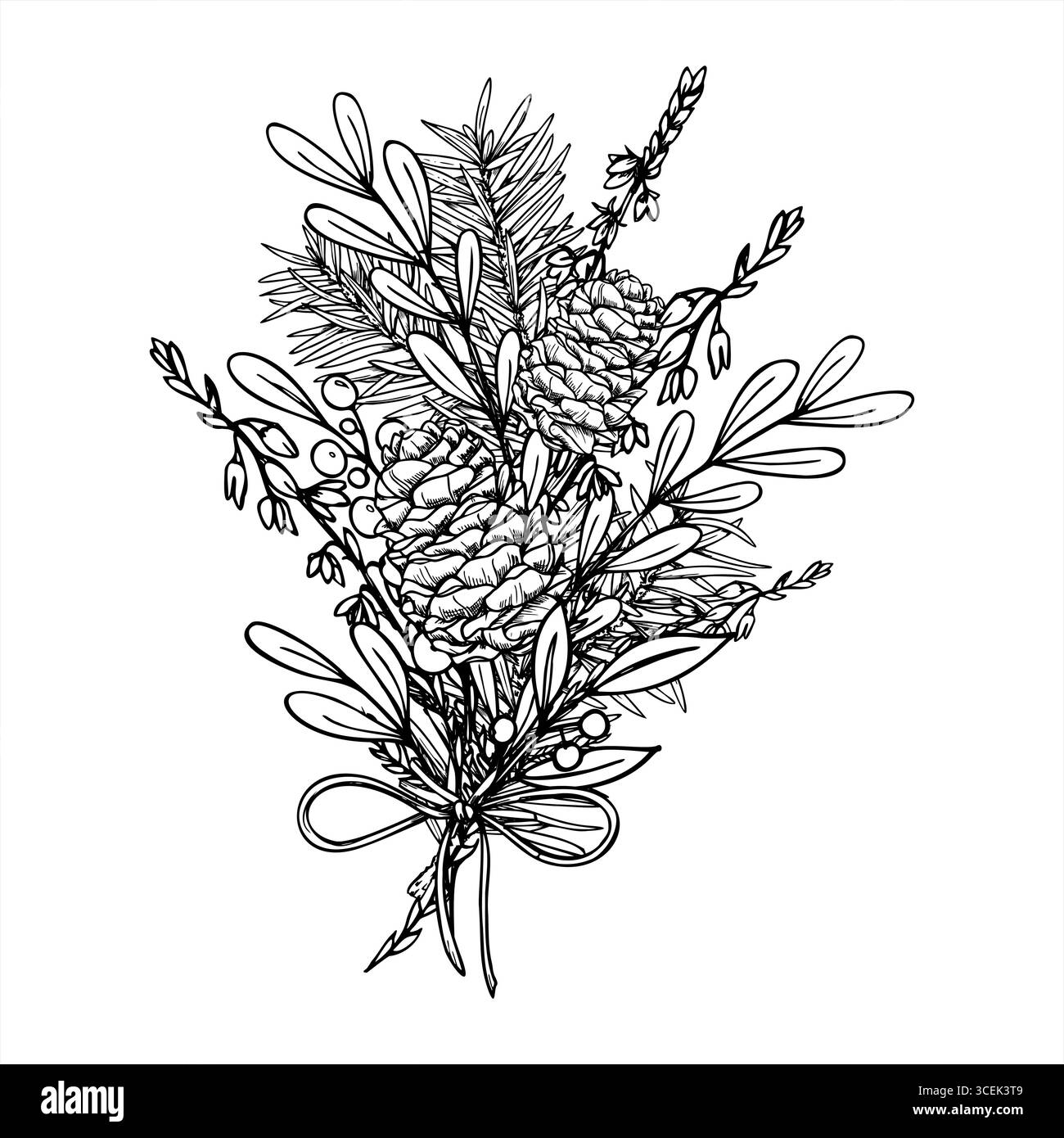 Winterstrauß monochromer Vektor mit schwarzer Tinte gemalt. Zedernzweig, Kegel, Heidekraut, Beerenpflanze grafische Skizze. Dekorative immergrüne Zweige Stock Vektor