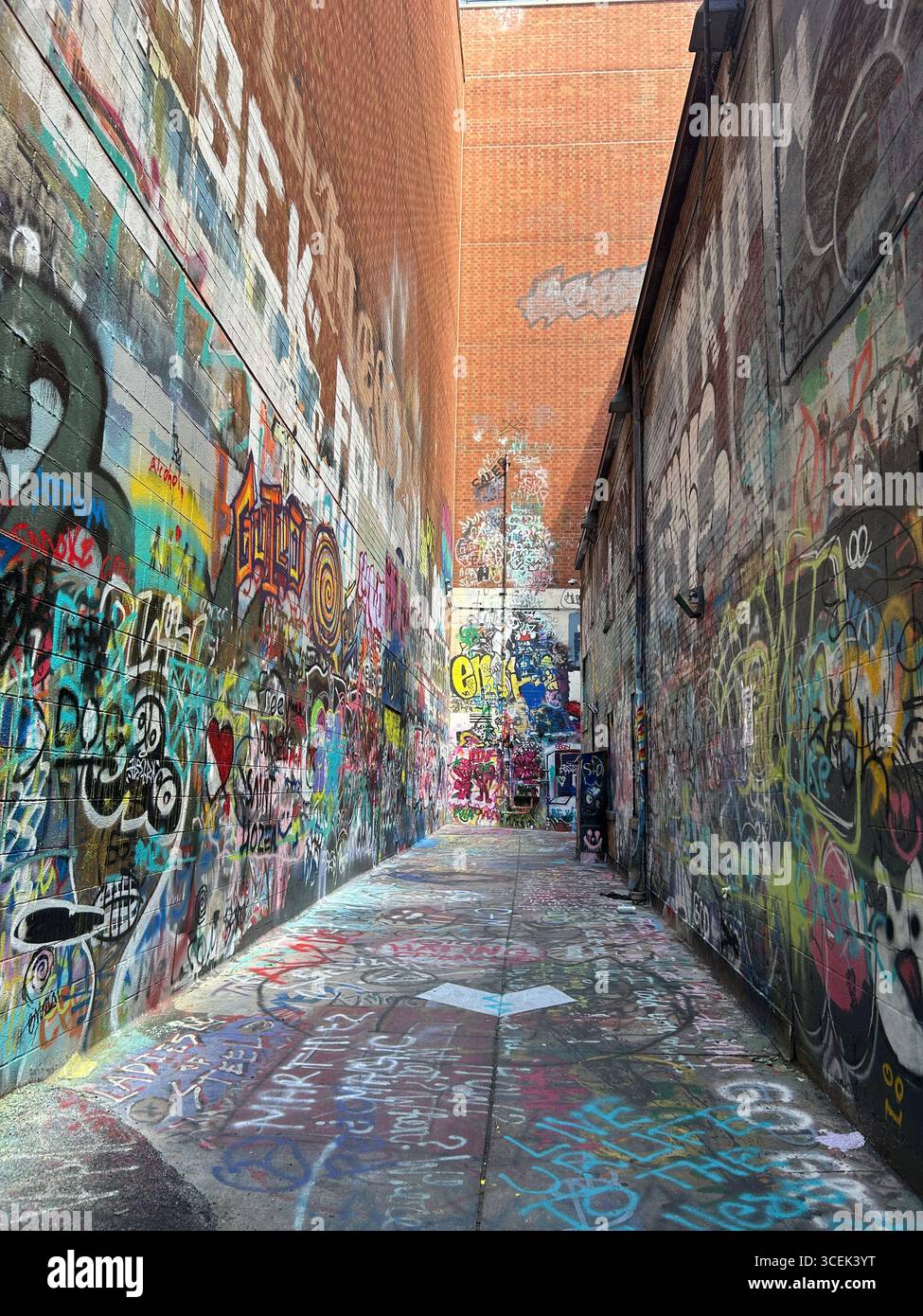 Eine Gasse in der Innenstadt von Ann Arbor, Michigan, in der Nähe des Campus von U of M, mit Graffiti, die die Wände und den Bürgersteig wie eine Kunstgalerie vollständig bedecken. Stockfoto