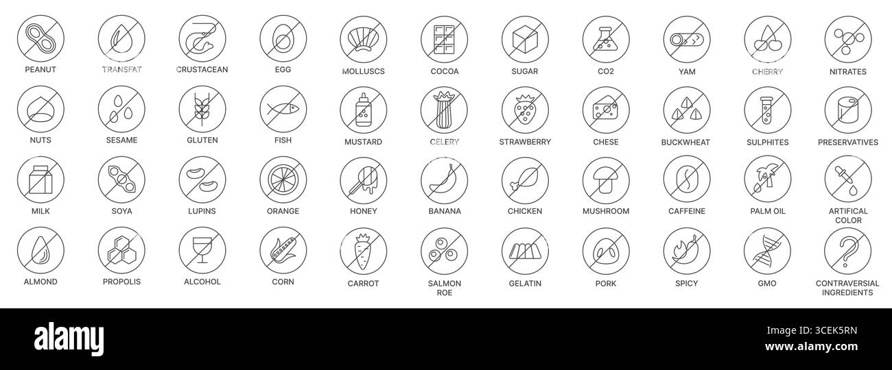 Sammlung allergenfreier Symbole wie Nüsse, Gluten, Milchprodukte, Meeresfrüchte, Zusatzstoffe, und mehr, entwickelt für Verpackung und Etikettierung von Lebensmitteln, isoliert auf weißem Hintergrund Vektorillustration Stock Vektor