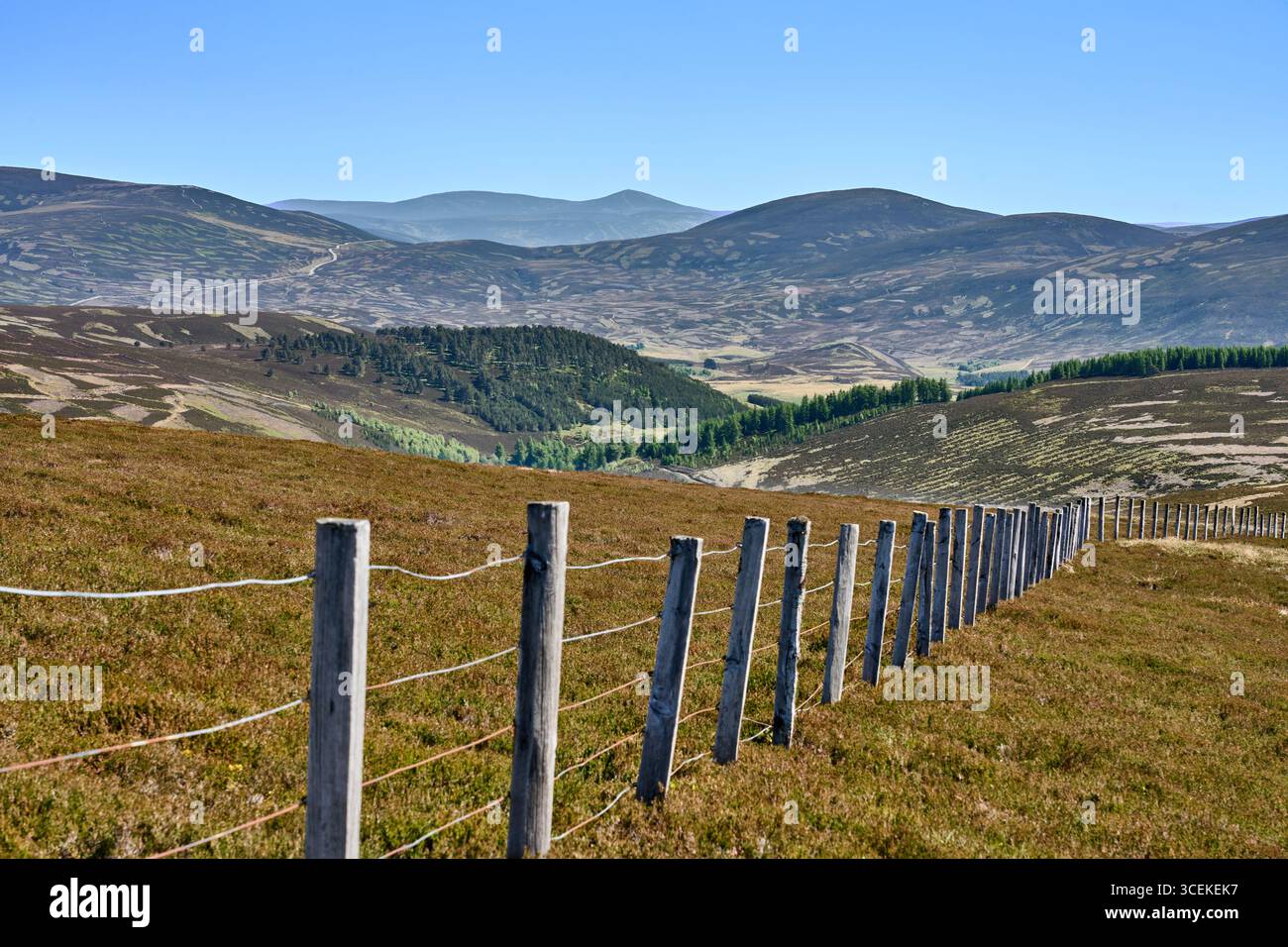 highland-Landschaft im Cairn Gorm National Park in Schottland, Großbritannien Stockfoto