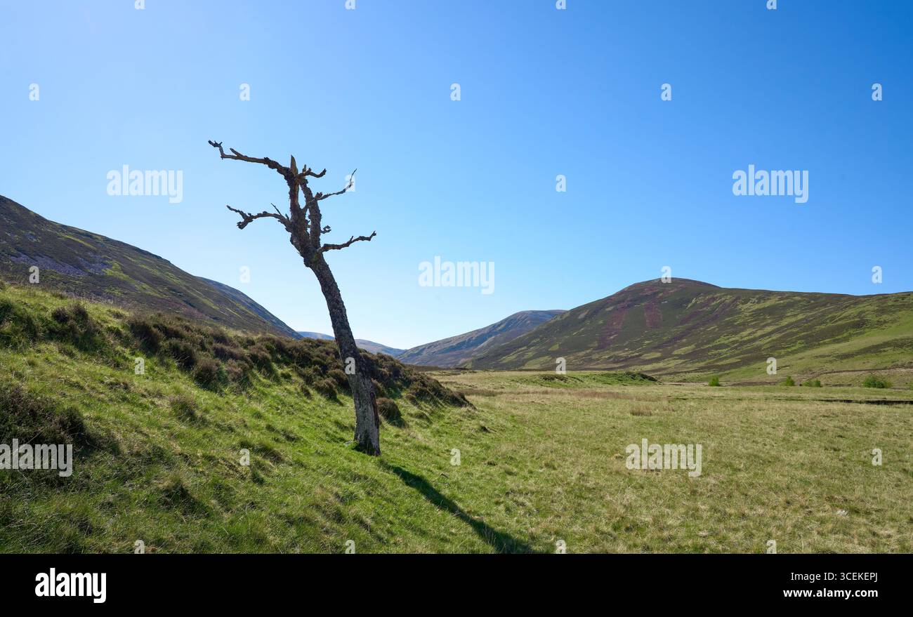 highland-Landschaft im Cairn Gorm National Park in Schottland, Großbritannien Stockfoto