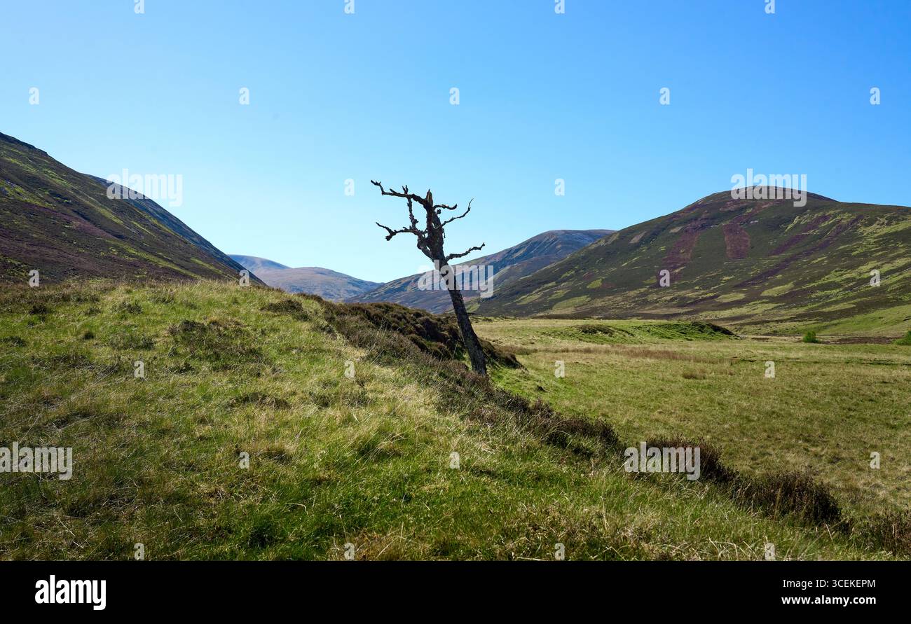 highland-Landschaft im Cairn Gorm National Park in Schottland, Großbritannien Stockfoto