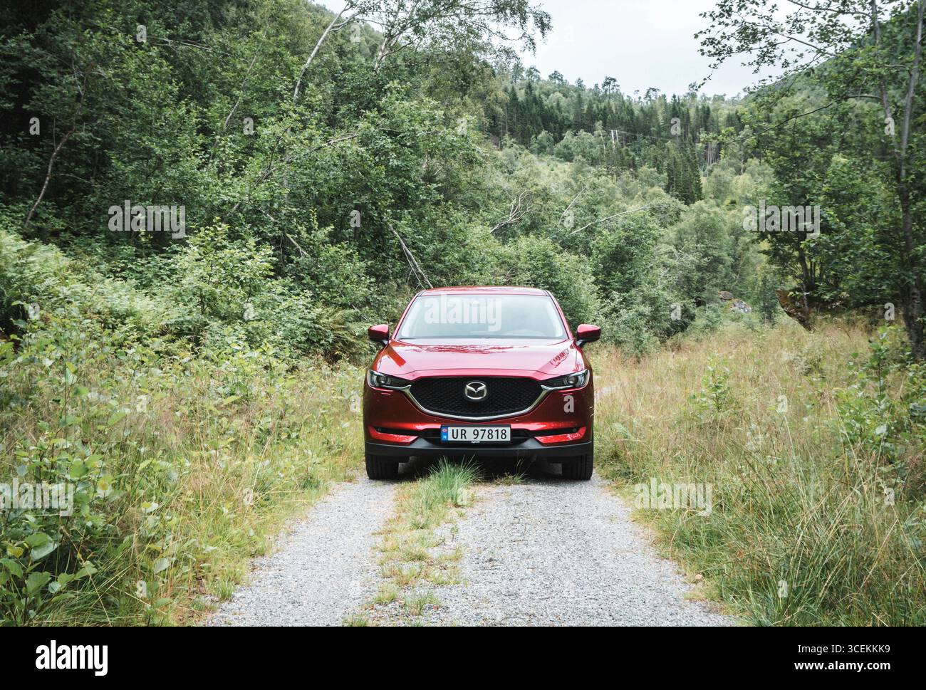Mazda CX auf einer waldstraße, nach vorne gerichtet. Stockfoto