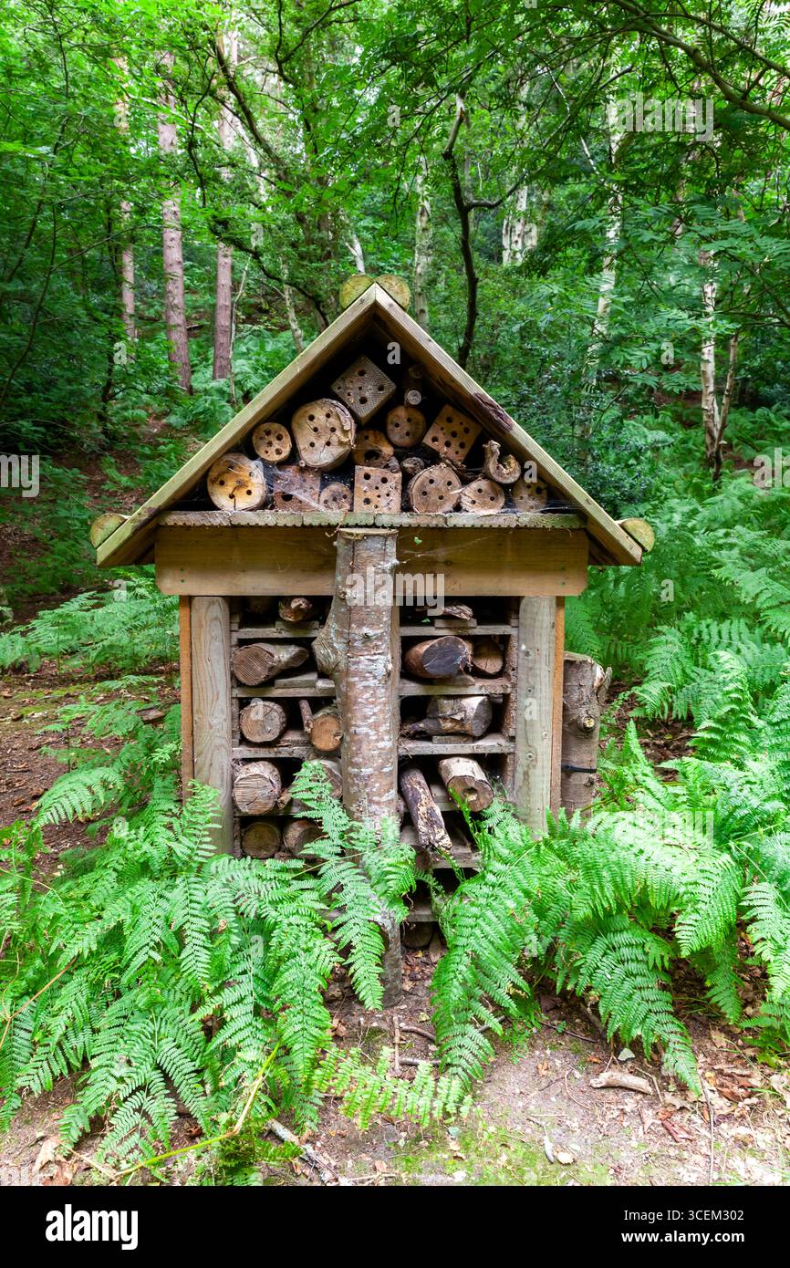 Großes Insektenhotel im Wald und Farne aus Holz und Baumstämmen mit einem kleinen Dach Stockfoto