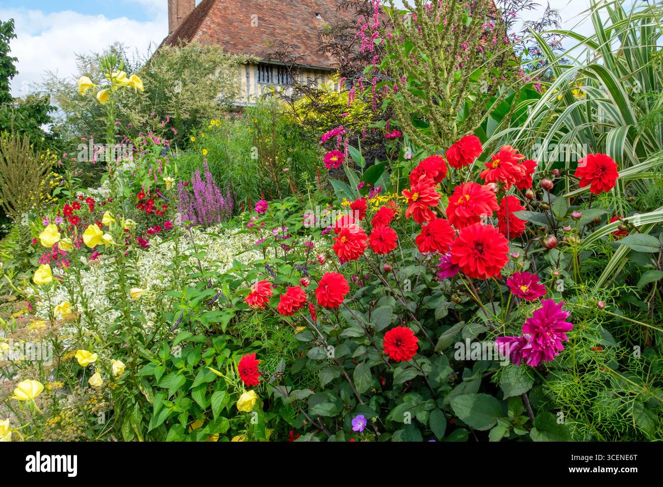 Tolles Dixter Haus und Gärten, Dahlien Spätsommer, East Sussex, Großbritannien Stockfoto