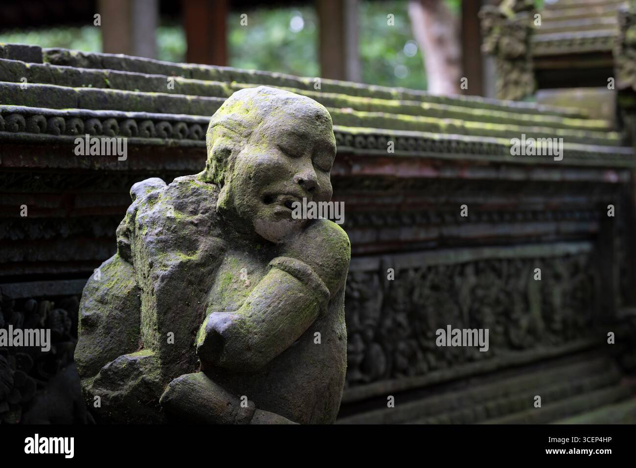 Monkey Forest in Ubud, Bali Stockfoto
