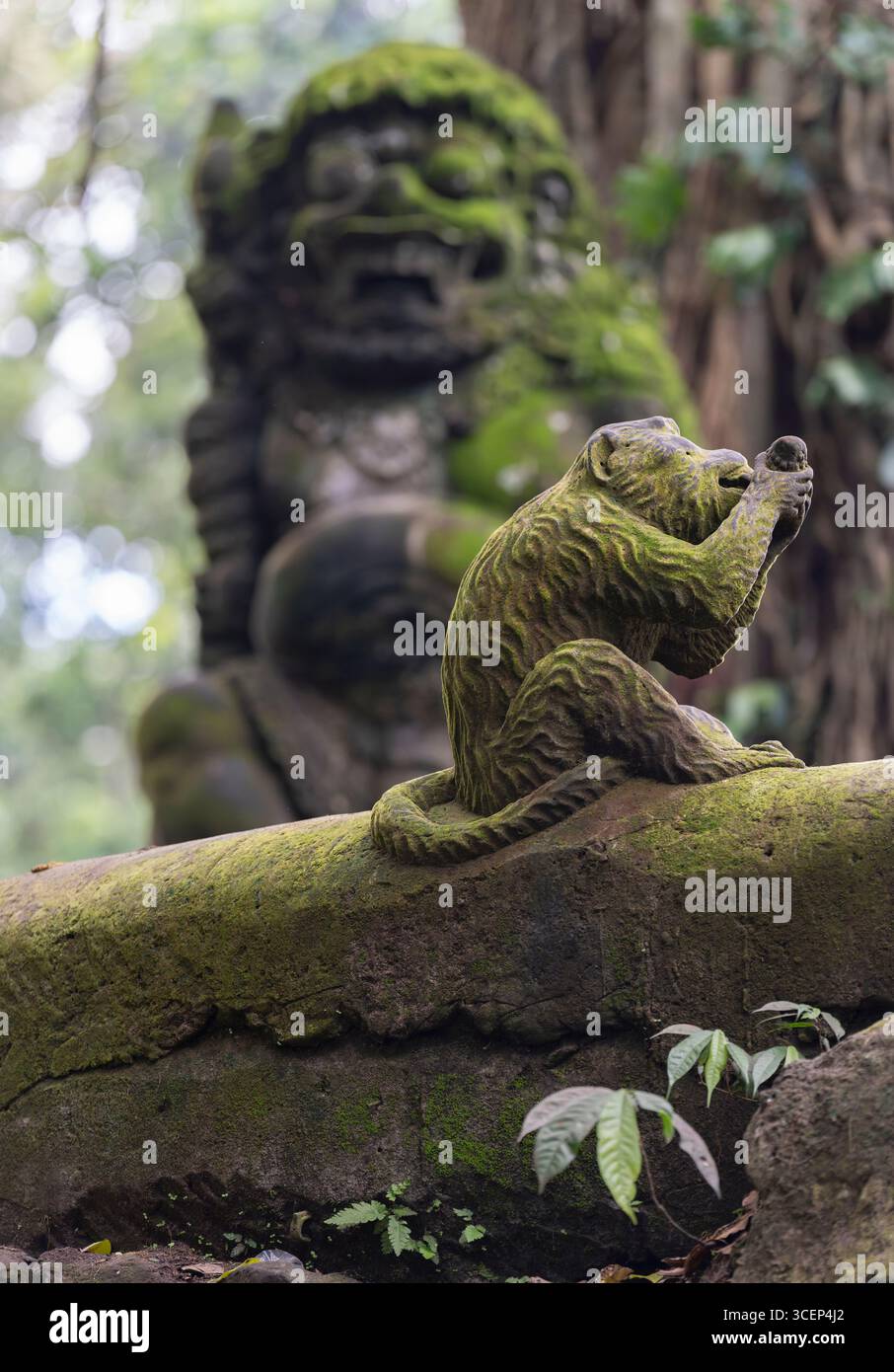 Monkey Forest in Ubud, Bali Stockfoto