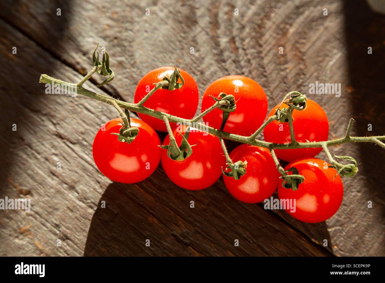Ein Haufen Weintomaten auf einem Holzbrett. Stillleben Stockfoto