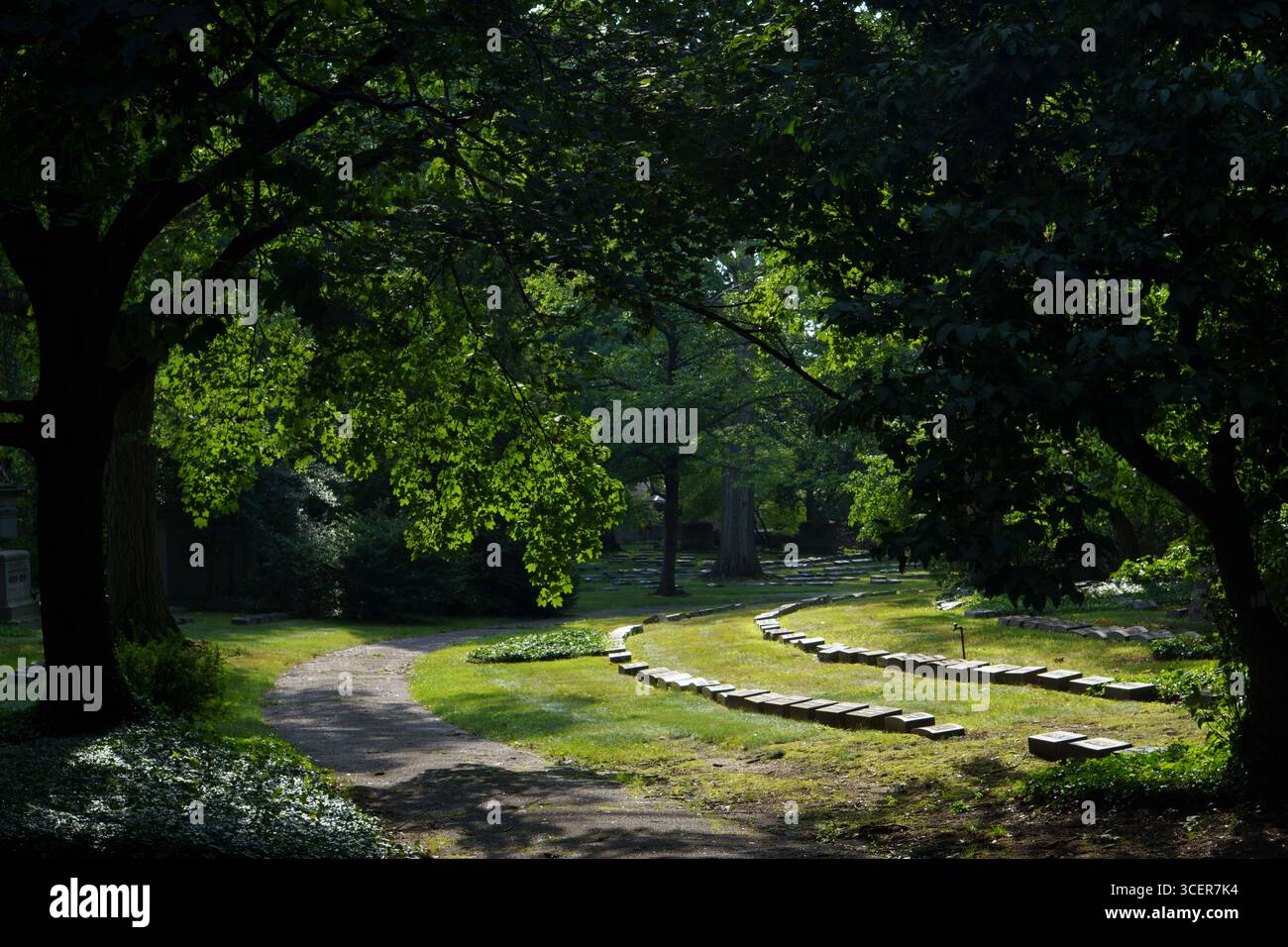 Ein gewundener Pfad auf einem Friedhof Stockfoto