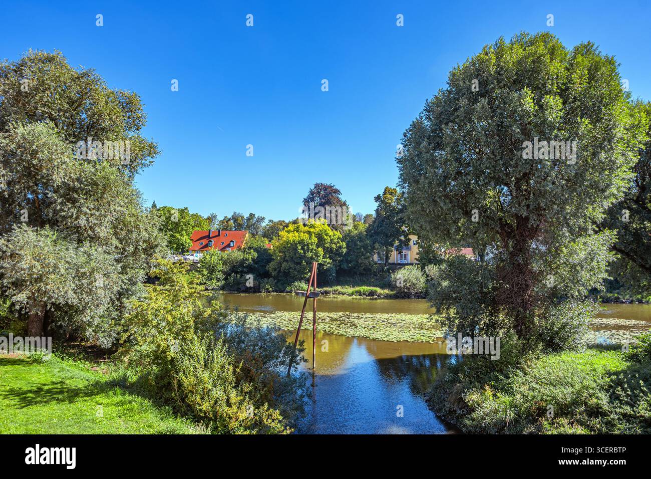 Bayern : Ried in Donauwörth Stockfoto