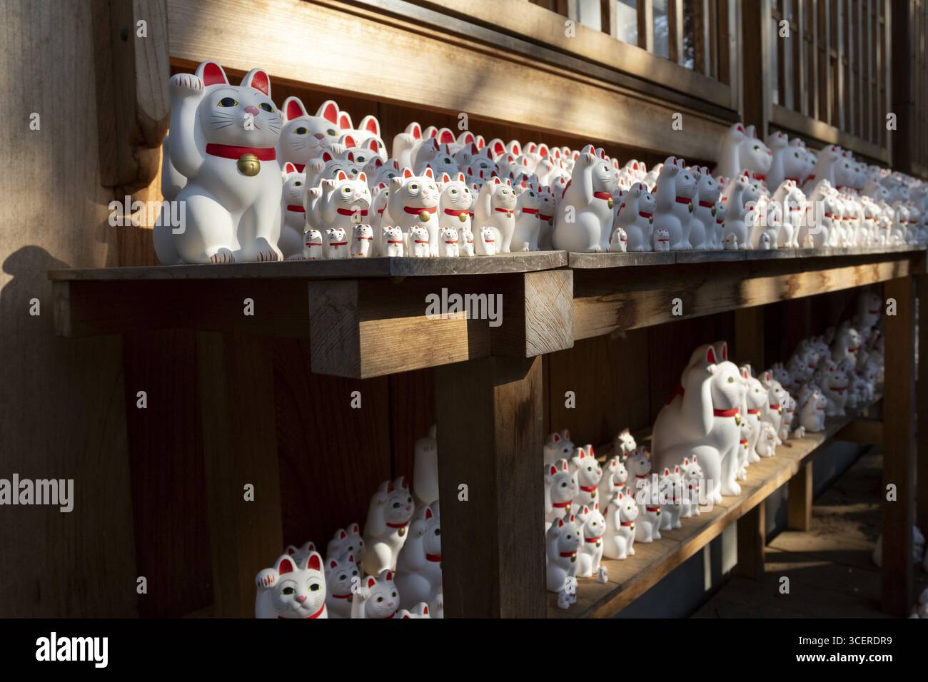 Sehenswürdigkeiten, Touristenattraktion, Maneki-Neko, winkende Katzenfiguren für Glück, Gotokuji-Tempel, Katzentempel, GOtoku-JI, buddhistischer Tempel, Gotokuji, Se Stockfoto