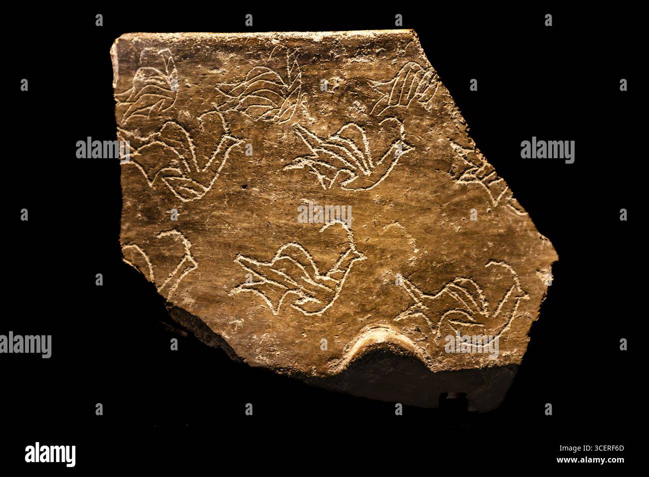 Fragmente von Keramikgefäßen, Museum am megalithischen Ggantija-Tempel, etwa 5600 Jahre alt, eines der ältesten teilweise erhaltenen Gebäude im W Stockfoto