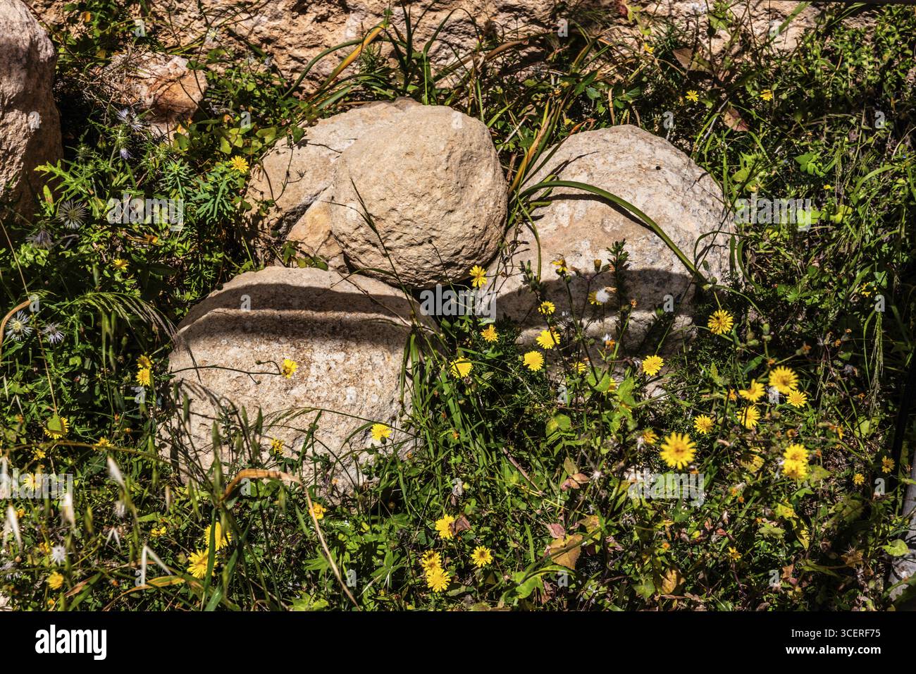 Der megalithische Ggantija-Tempel, etwa 5600 Jahre alt, besteht aus zwei angrenzenden Tempeln und gehört zu den ältesten noch heute Stockfoto
