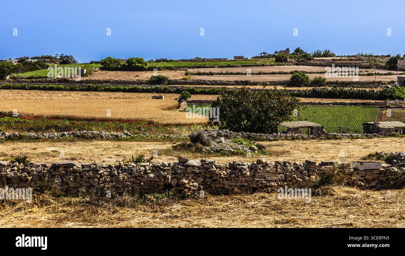 Landschaft in der Nähe des megalithischen Hagar Qim Tempels mit insgesamt sechs großen Tempelräumen, 3600-2500 v. Chr., Qrendi, Malta Stockfoto