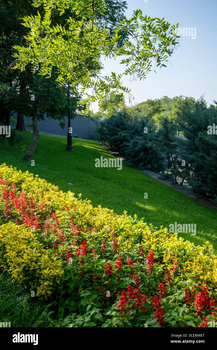 Blumen und Bäume auf dem Weg. Sonniger Tag im Stadtpark. Riesiges, gepflegtes Blumenbeet mit roten Blumen und grünem saftigem Rasen Stockfoto