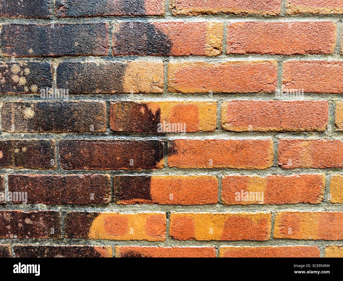 Vor und nach dem Betrachten von Mauerwerk an einer Gartenwand, das mit einem leistungsstarken Hochdruckreiniger gereinigt wird - Smartphone-aufgenommenes Stockfoto