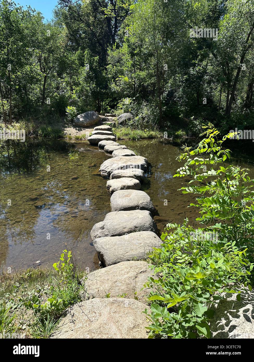 Ein großer Steinwanderweg, der den Boulder Creek in Boulder, Colorado, überquert. Stockfoto