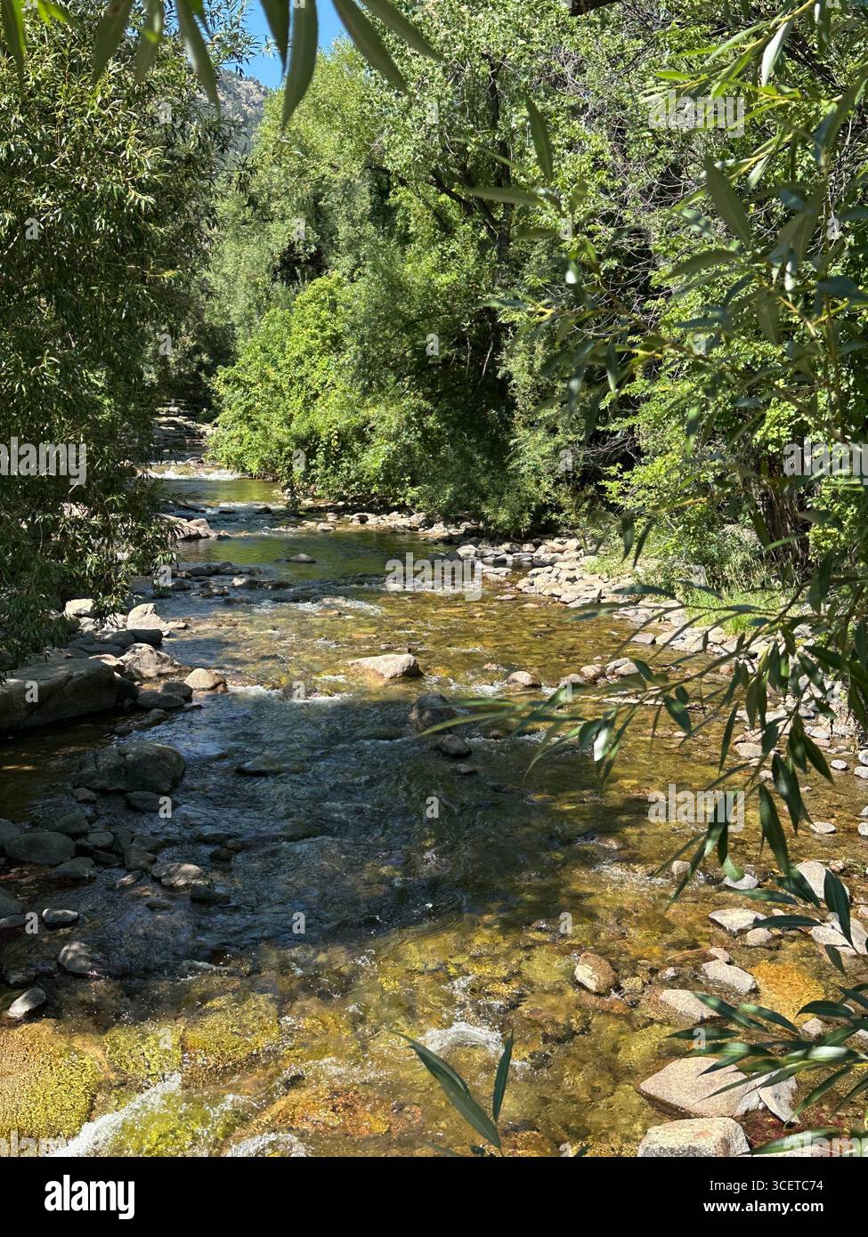 Boulder Creek in Boulder, Colorado, an einem Sommertag. Stockfoto
