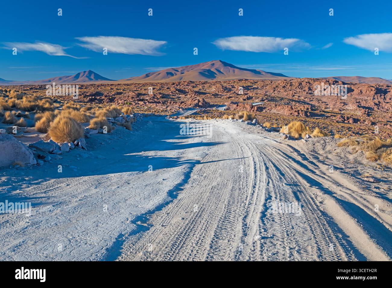 Einsame Straße durch das bolivianische Hochland im Salar de Uyuni Stockfoto