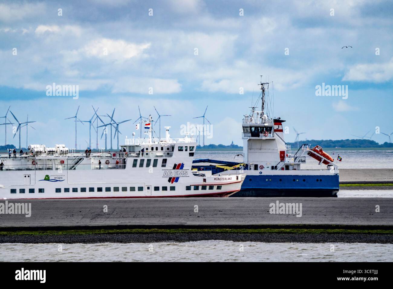 Die Nordsee-Autofähre Münsterland fährt zum Fährhafen Eemshaven, an der Mündung der Ems, Fähre zur deutschen Nordseeinsel Borkum, OP Stockfoto