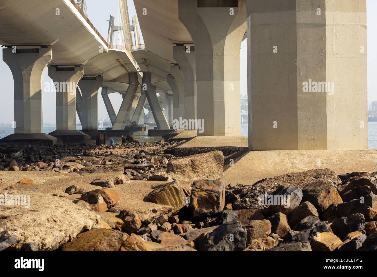 Ein Weitwinkelblick auf die berühmte Bandra-Worli Sea Link Brücke in Mumbai, Indien, die sich elegant über das Arabische Meer erstreckt. Stockfoto