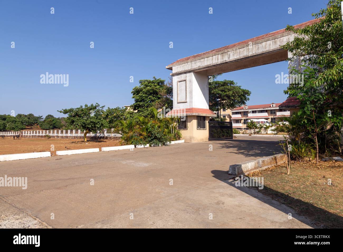 Zufahrt zu einem modernen Gebäude mit geparkten Autos und einem Bus, mit landschaftlich gestaltetem Grün und klarem Himmel. Stockfoto