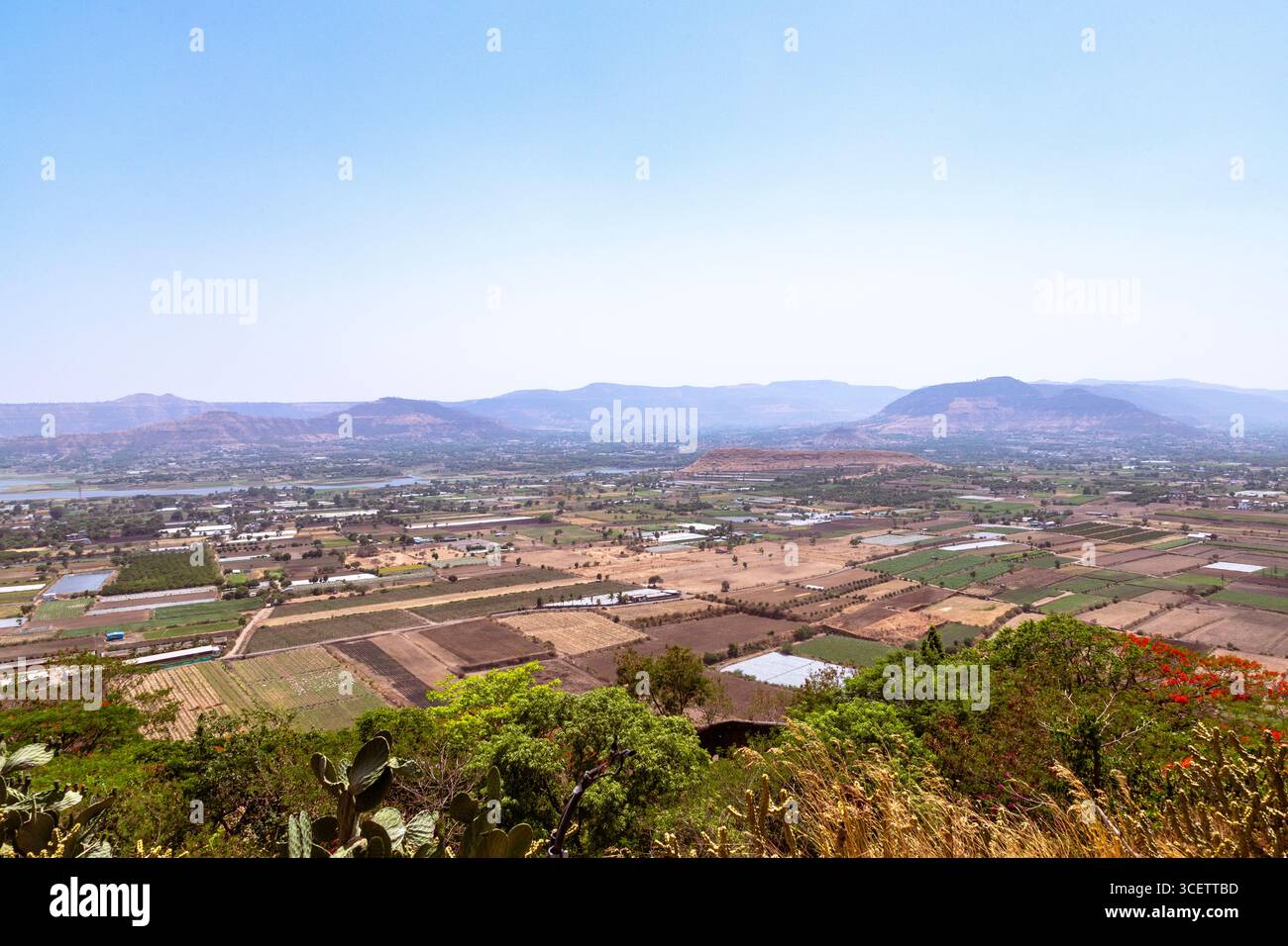 Panoramablick auf ein grünes Tal mit landwirtschaftlichen Feldern, verstreuten Häusern und fernen Bergen unter klarem Himmel. Stockfoto
