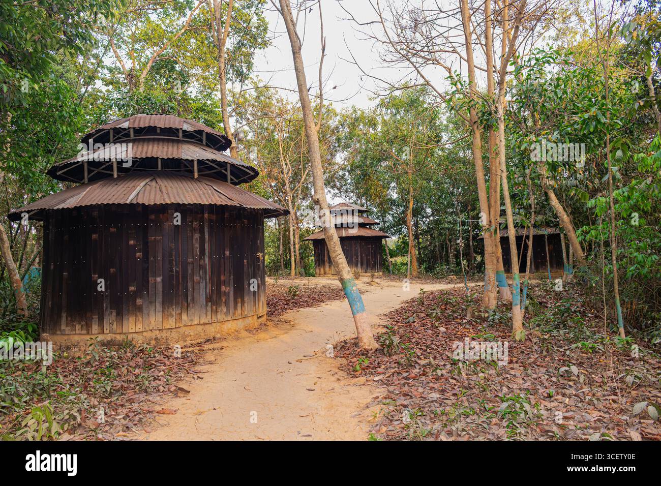 Alte hölzerne runde Klosterhäuser in ruhiger Waldumgebung des Rangkut Buddha Klosters Stockfoto