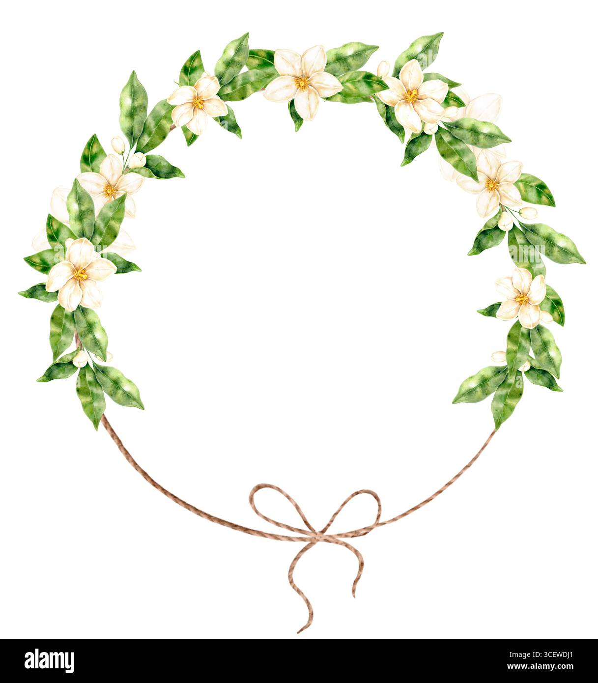 Aquarellkranz mit grünen Blättern, zarten Blüten und Schleife auf weißem Hintergrund. Dekorativer Kreis im natürlichen Boho-Stil, perfekt zum Hochziehen Stockfoto