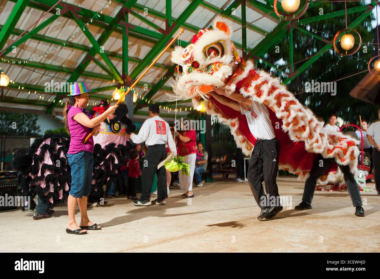 Frau hält eine Holzstange mit Grünkohl am Ende einer Zeichenfolge als traditionelle Angebot für den chinesischen Löwen. Waiokeola Congregational Church Stockfoto