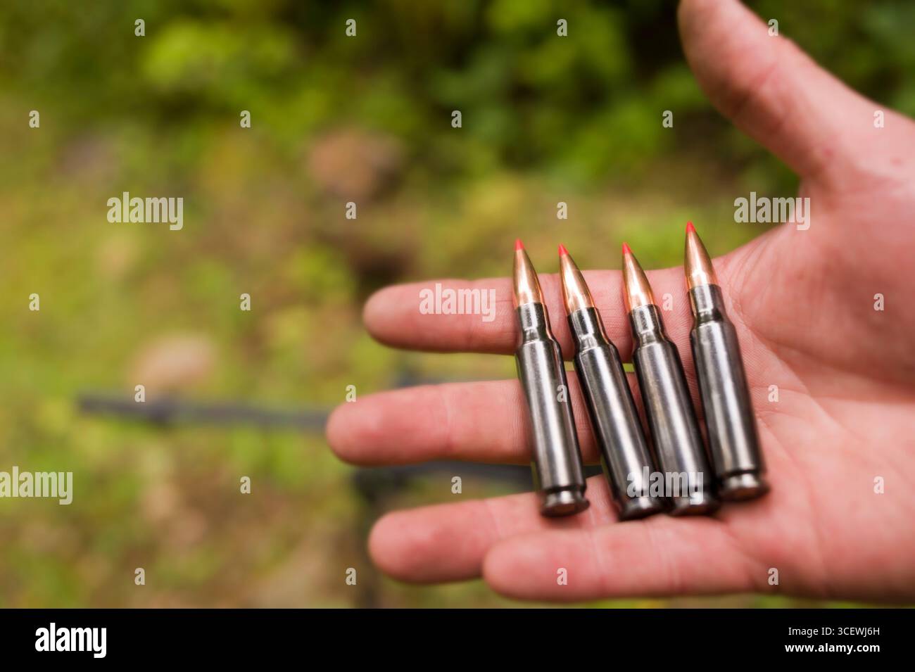 Hand des Menschen halten vier Gewehr.308, 7,62 mm Kaliber Patronen, USA Stockfoto