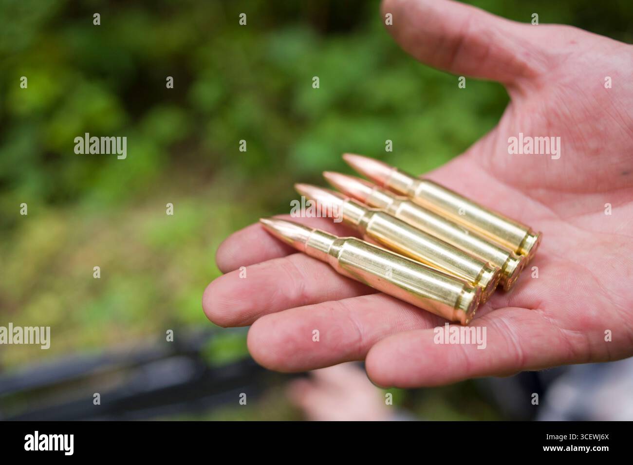 Hand des Menschen halten vier Gewehr.308, 7,62 mm Kaliber Patronen, USA Stockfoto