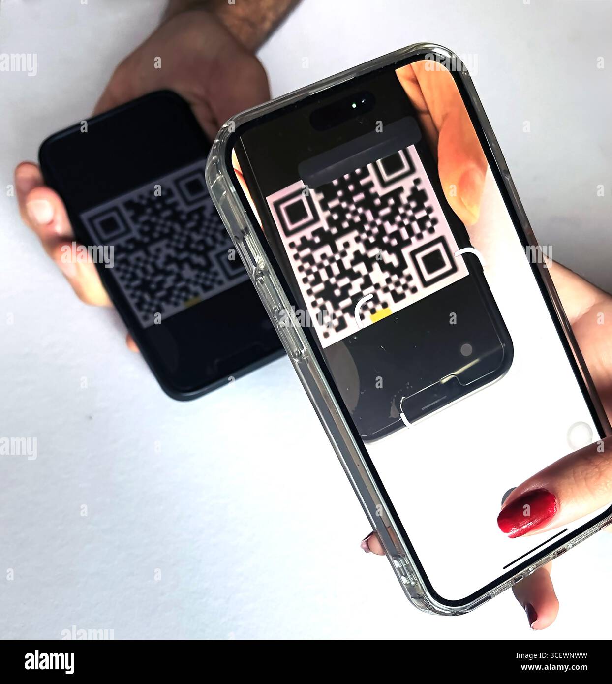 Junge Frau scannt einen QR-Code. Heller Hintergrund. Geschäftskonzept Stockfoto