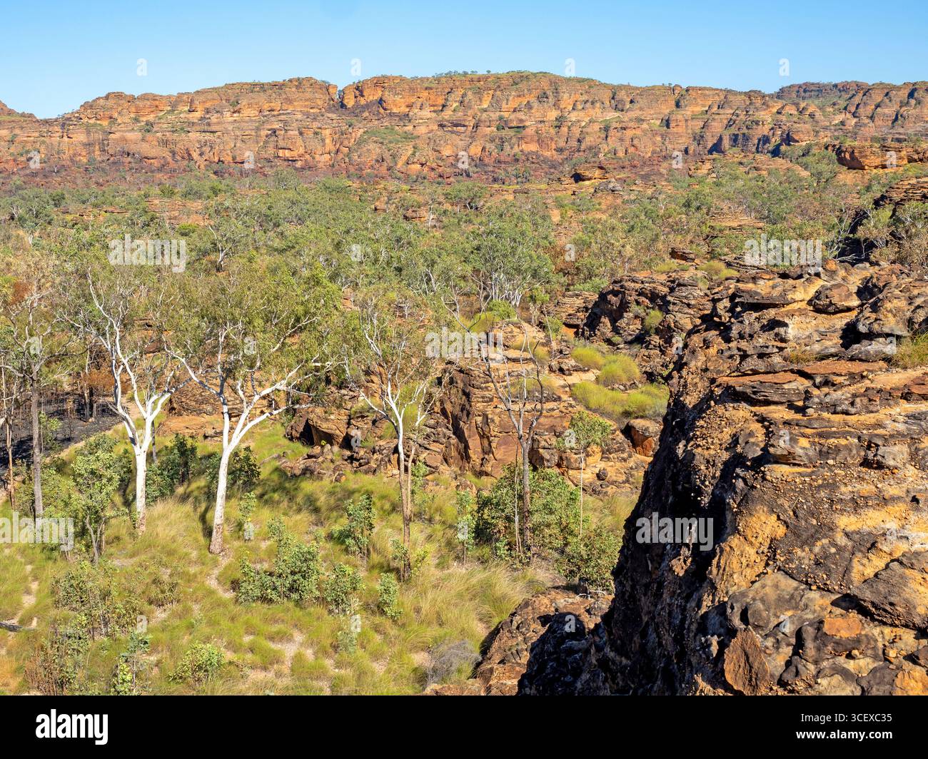 Sandsteinland entlang des Goorrandalng Walks im Keep River National Park Stockfoto