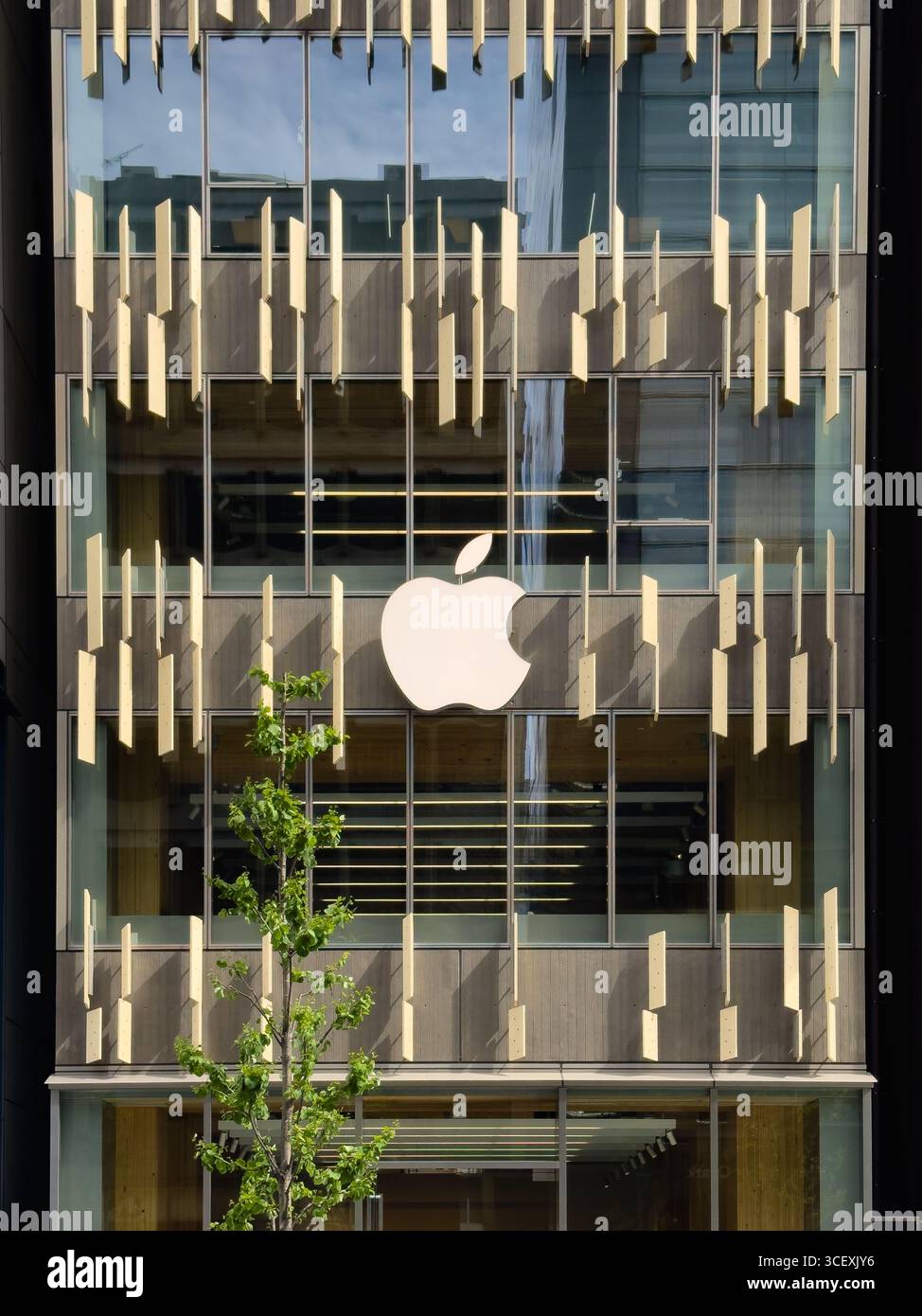 Apple Ginza. Apple Store in Ginza, dem gehobenen Einkaufsviertel von Tokio, Japan. - Smartphone-aufgenommenes Stockfoto