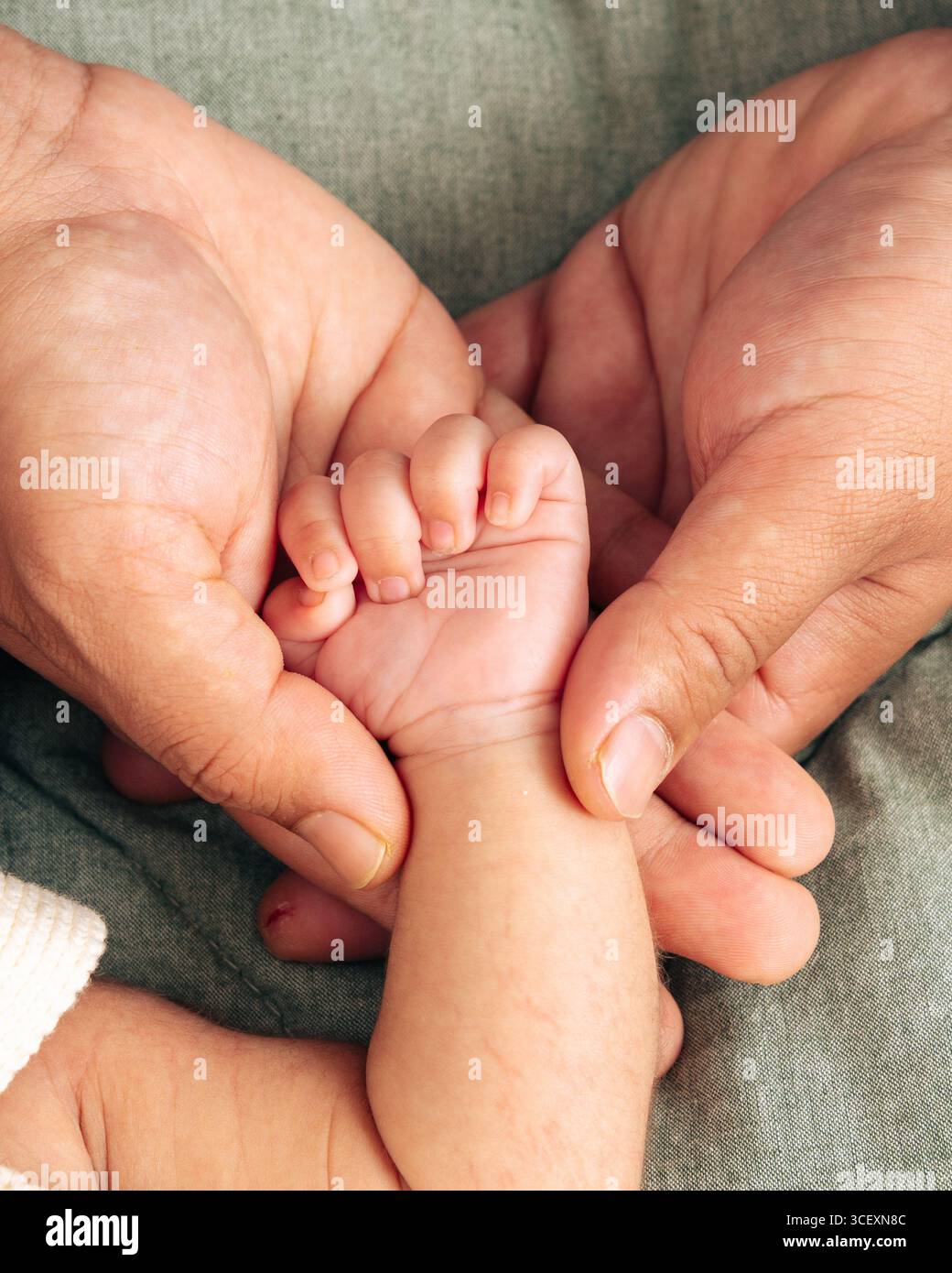 Die Nahaufnahme zeigt einen Erwachsenen, der sanft die Hand eines Babys hält und somit Schutz, Pflege und Familienbeziehungen symbolisiert. Die Szene zeigt Intimität und Stockfoto