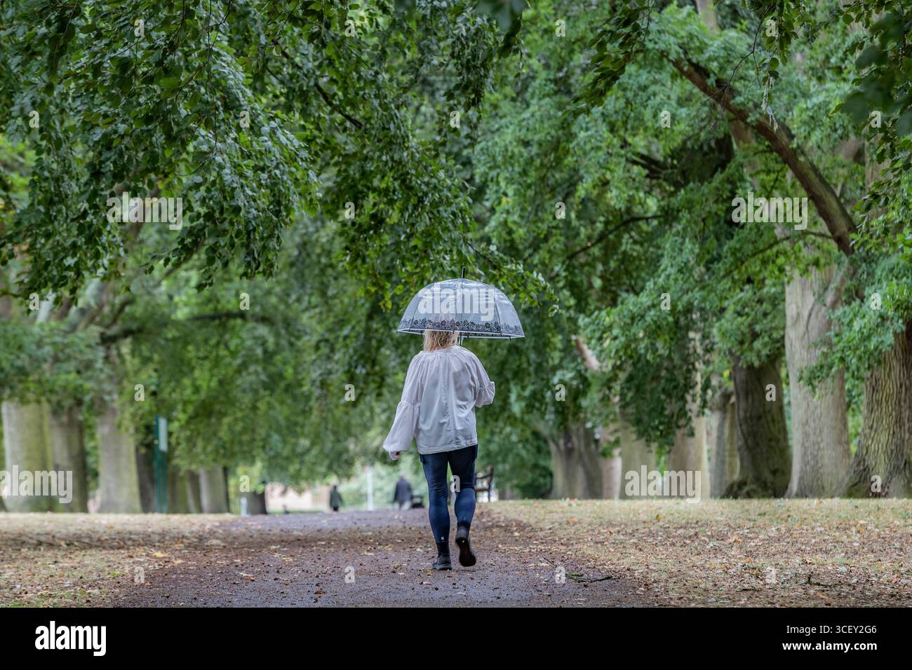 Abington Park, Northampton, Großbritannien. August 2025. Nächtliche Regenschauer und kühlere Temperaturen verleiten die Menschen, sich warm einzuhüllen und ihre morgendlichen Aktivitäten zu erledigen. Quelle: Keith J Smith./Alamy Live News. Stockfoto
