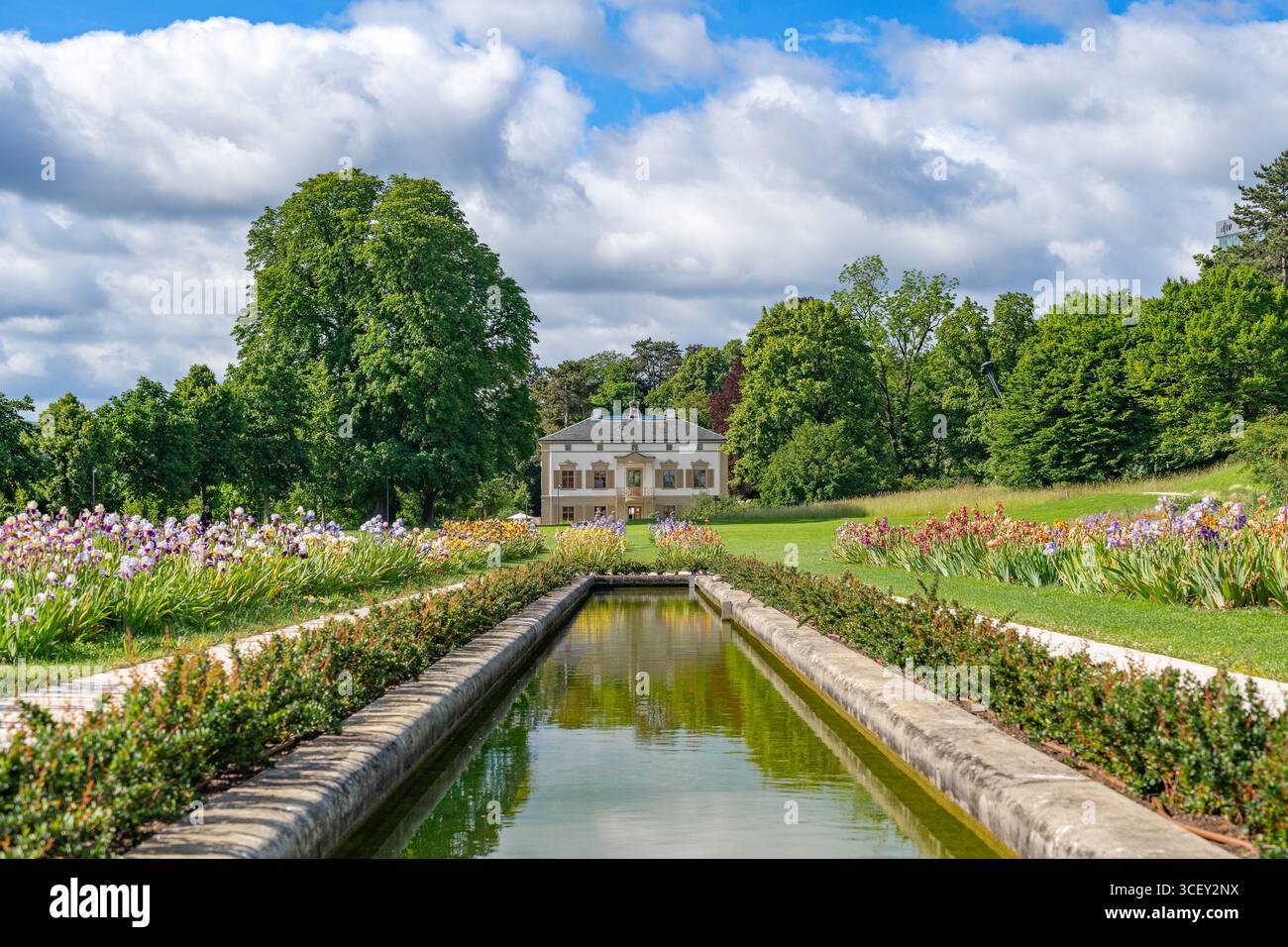 Basel, Schweiz - 05. Mai 2024: Peter-Merian-Garten mit blühenden Irisblumen. Dies ist ein öffentlicher botanischer Park mit vielen verschiedenen Pflanzen Stockfoto